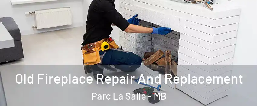  Old Fireplace Repair And Replacement Parc La Salle - MB
