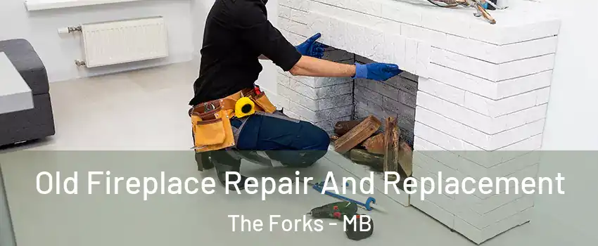  Old Fireplace Repair And Replacement The Forks - MB