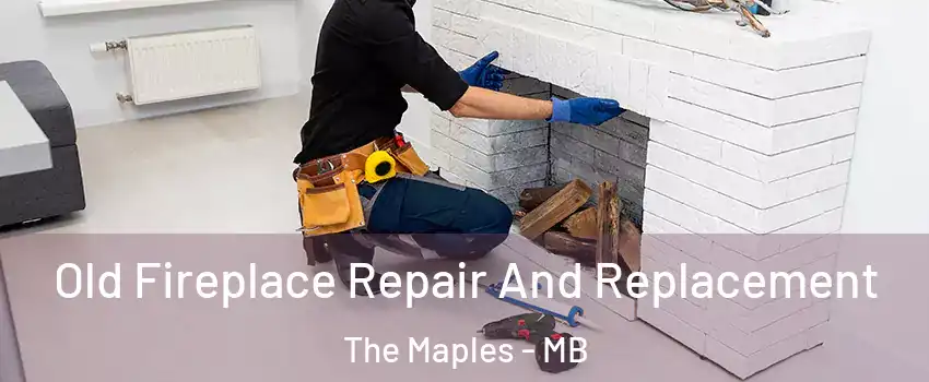  Old Fireplace Repair And Replacement The Maples - MB