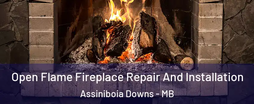  Open Flame Fireplace Repair And Installation Assiniboia Downs - MB