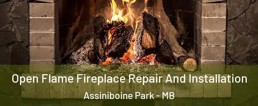  Open Flame Fireplace Repair And Installation Assiniboine Park - MB