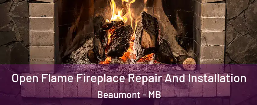 Open Flame Fireplace Repair And Installation Beaumont - MB