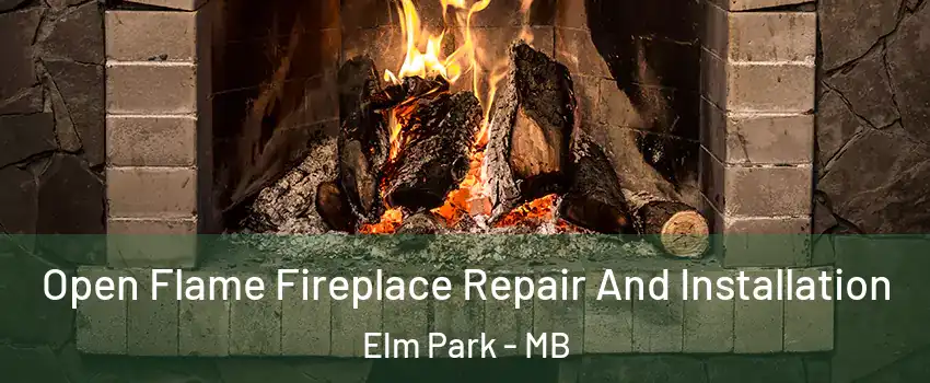  Open Flame Fireplace Repair And Installation Elm Park - MB
