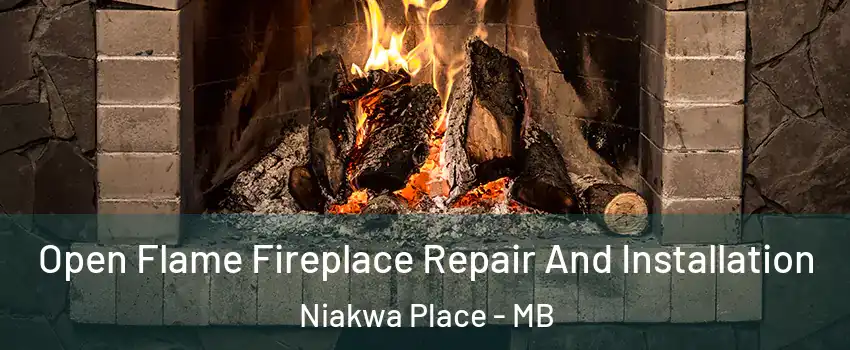  Open Flame Fireplace Repair And Installation Niakwa Place - MB