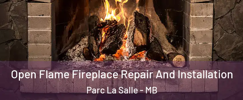  Open Flame Fireplace Repair And Installation Parc La Salle - MB