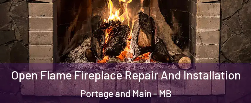  Open Flame Fireplace Repair And Installation Portage and Main - MB