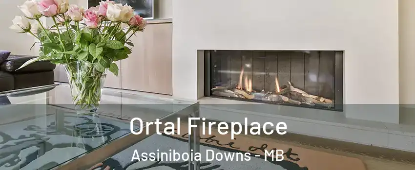 Ortal Fireplace Assiniboia Downs - MB