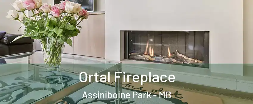 Ortal Fireplace Assiniboine Park - MB