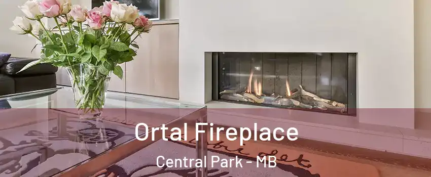 Ortal Fireplace Central Park - MB