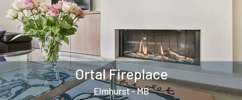 Ortal Fireplace Elmhurst - MB