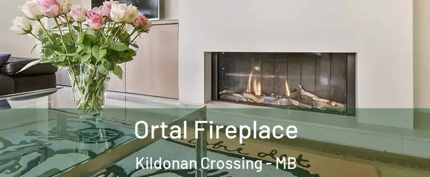  Ortal Fireplace Kildonan Crossing - MB