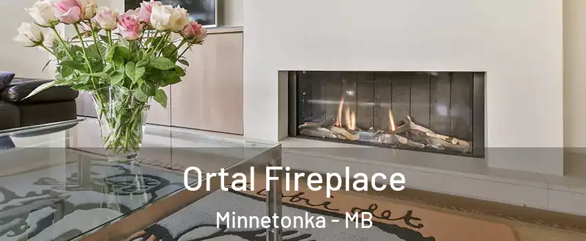 Ortal Fireplace Minnetonka - MB