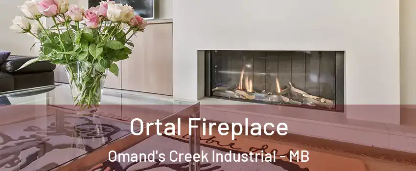 Ortal Fireplace Omand's Creek Industrial - MB