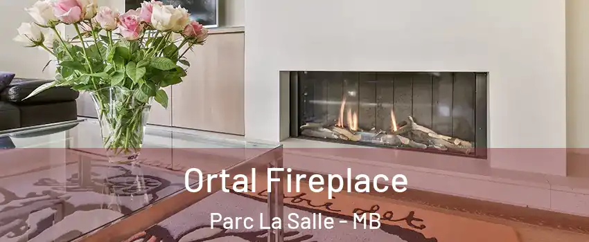  Ortal Fireplace Parc La Salle - MB