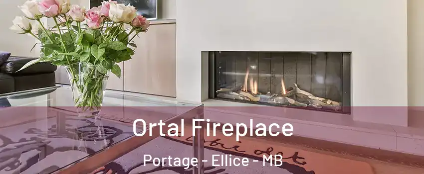  Ortal Fireplace Portage - Ellice - MB