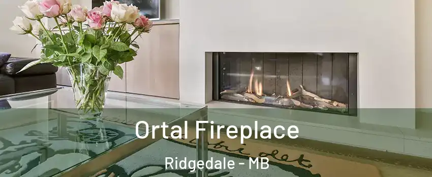  Ortal Fireplace Ridgedale - MB
