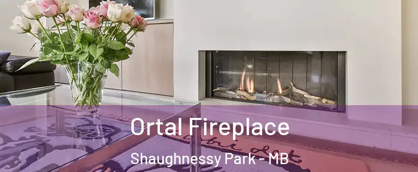  Ortal Fireplace Shaughnessy Park - MB