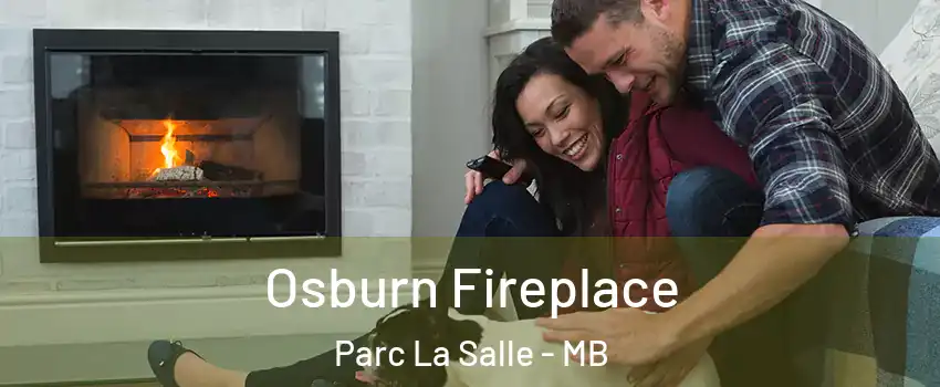  Osburn Fireplace Parc La Salle - MB