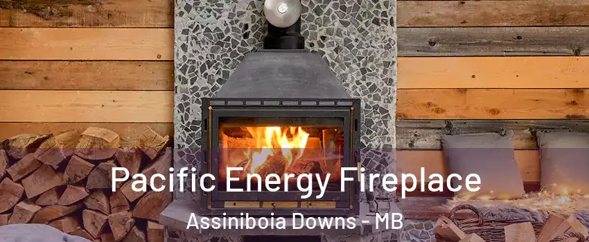  Pacific Energy Fireplace Assiniboia Downs - MB