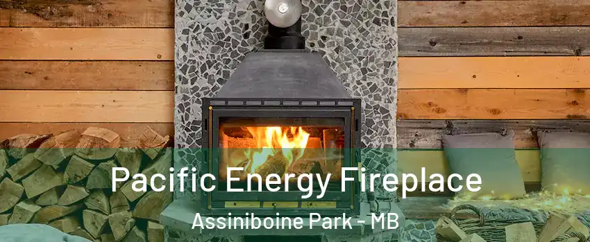  Pacific Energy Fireplace Assiniboine Park - MB