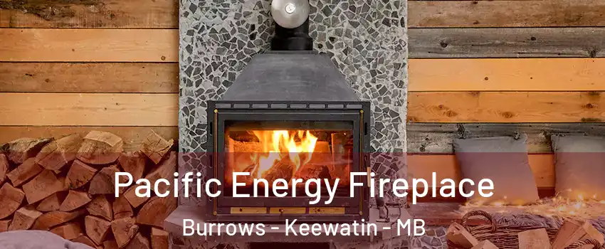  Pacific Energy Fireplace Burrows - Keewatin - MB