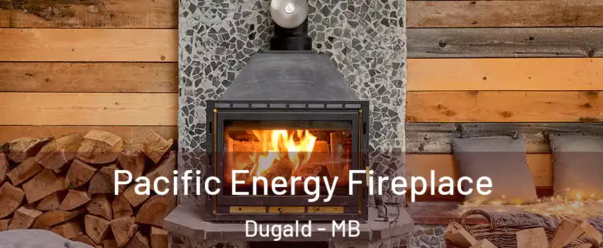  Pacific Energy Fireplace Dugald - MB