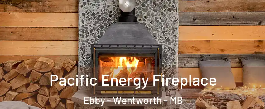  Pacific Energy Fireplace Ebby - Wentworth - MB