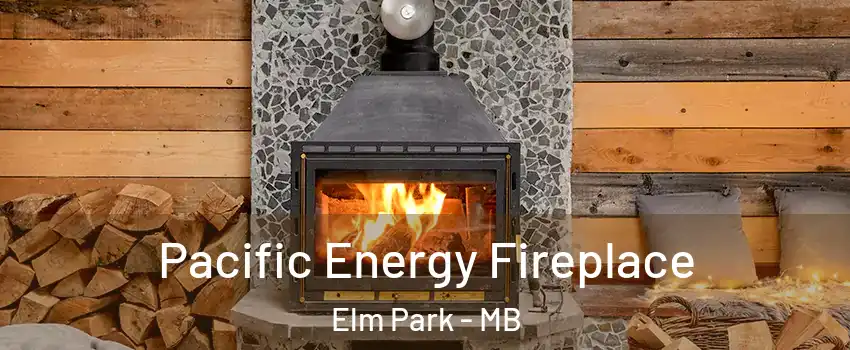  Pacific Energy Fireplace Elm Park - MB