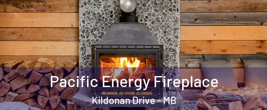  Pacific Energy Fireplace Kildonan Drive - MB
