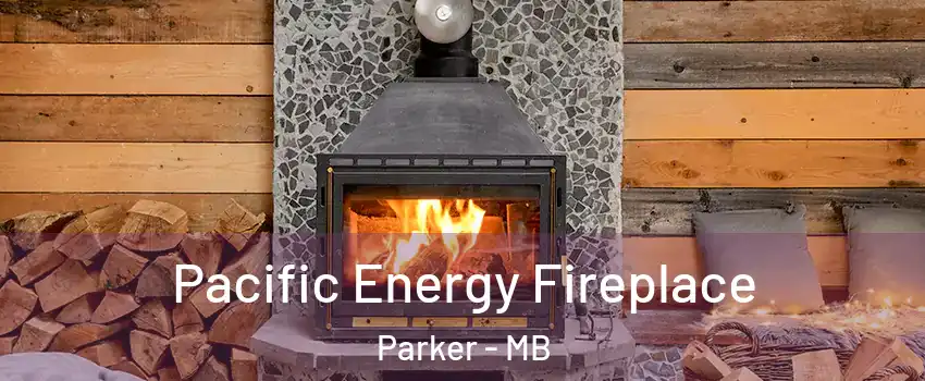  Pacific Energy Fireplace Parker - MB