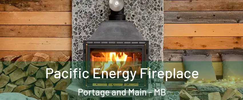  Pacific Energy Fireplace Portage and Main - MB
