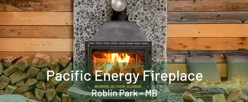  Pacific Energy Fireplace Roblin Park - MB