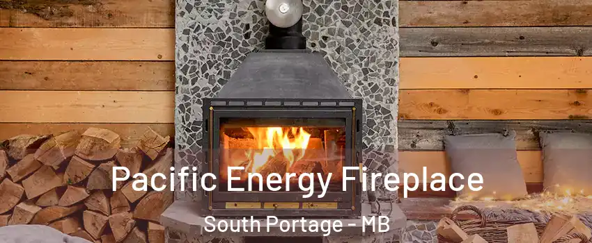  Pacific Energy Fireplace South Portage - MB