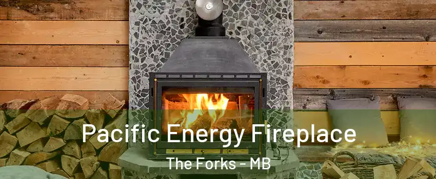  Pacific Energy Fireplace The Forks - MB