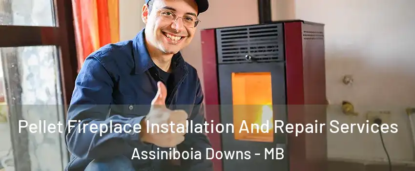  Pellet Fireplace Installation And Repair Services Assiniboia Downs - MB