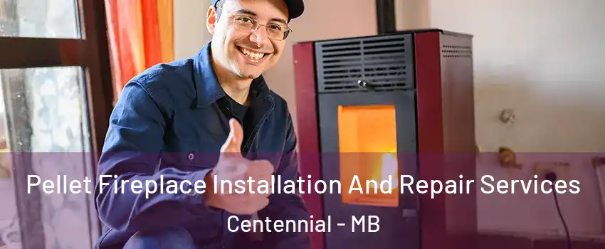  Pellet Fireplace Installation And Repair Services Centennial - MB
