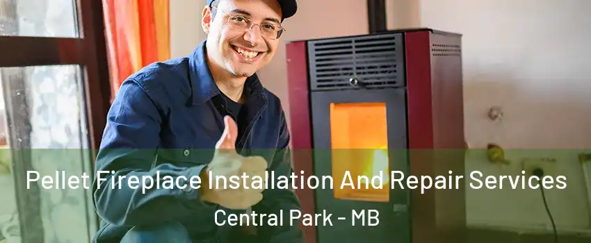 Pellet Fireplace Installation And Repair Services Central Park - MB