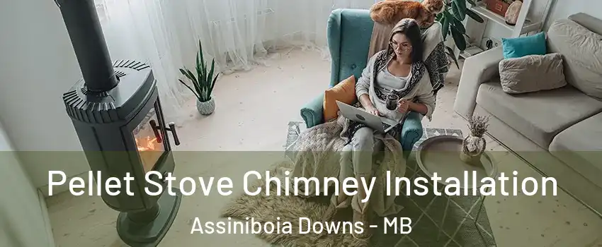  Pellet Stove Chimney Installation Assiniboia Downs - MB
