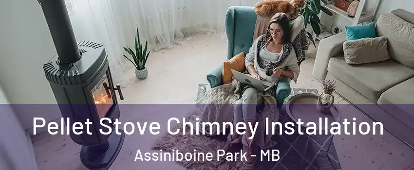  Pellet Stove Chimney Installation Assiniboine Park - MB