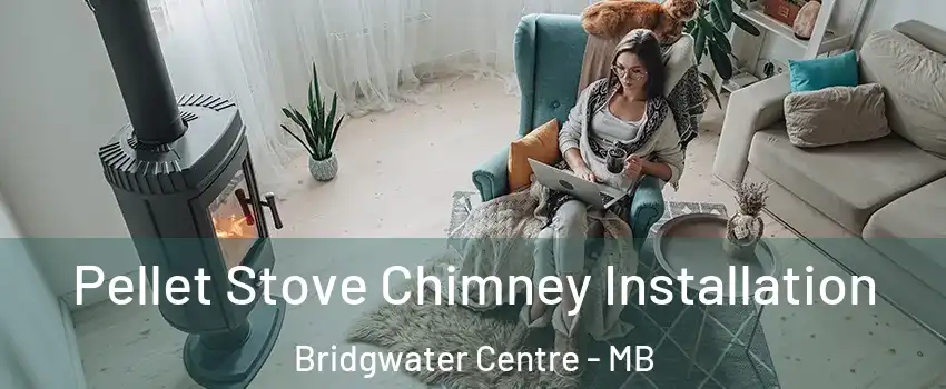  Pellet Stove Chimney Installation Bridgwater Centre - MB