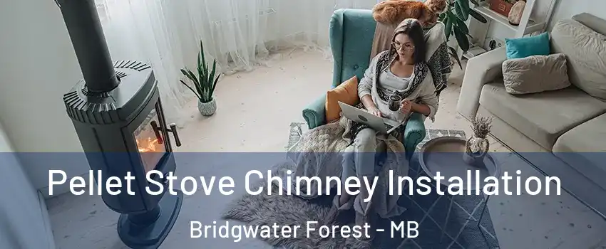 Pellet Stove Chimney Installation Bridgwater Forest - MB