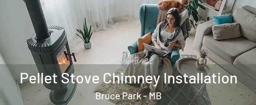  Pellet Stove Chimney Installation Bruce Park - MB