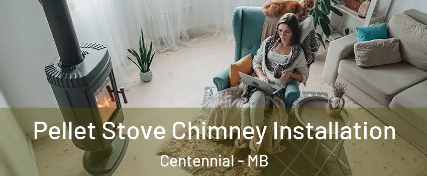  Pellet Stove Chimney Installation Centennial - MB
