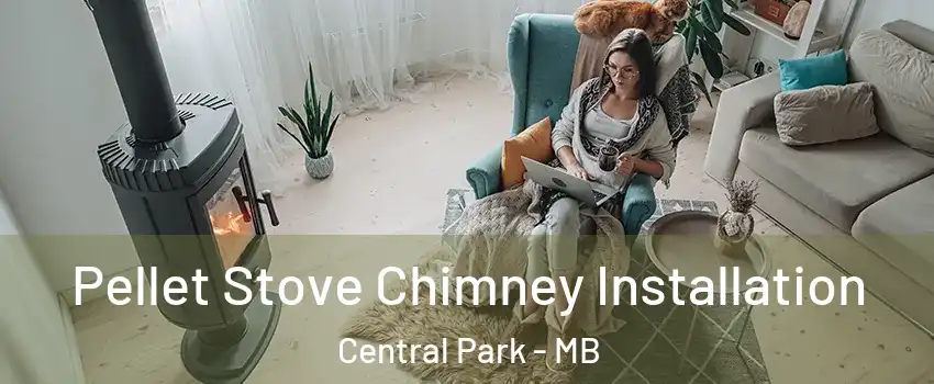  Pellet Stove Chimney Installation Central Park - MB