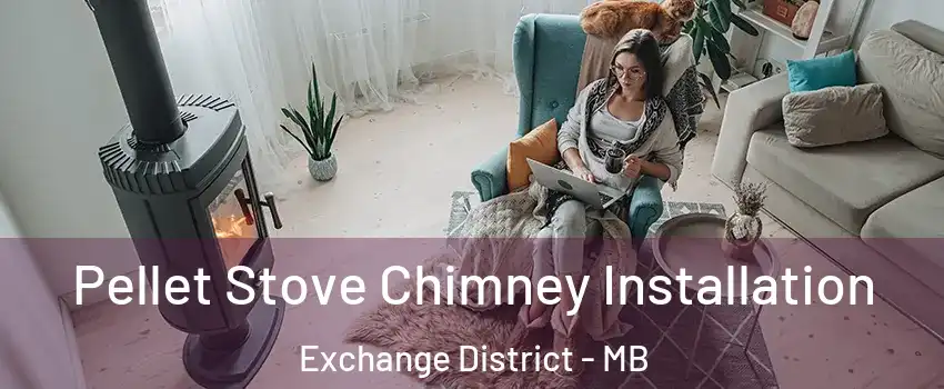 Pellet Stove Chimney Installation Exchange District - MB