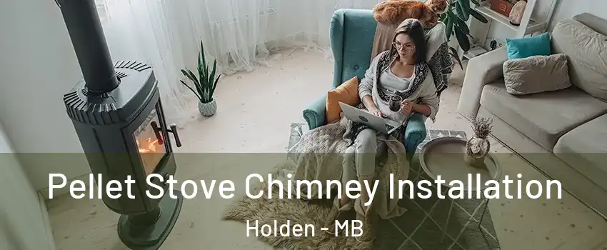  Pellet Stove Chimney Installation Holden - MB