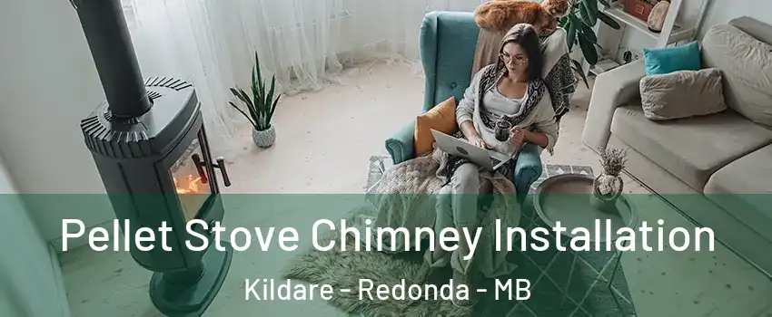  Pellet Stove Chimney Installation Kildare - Redonda - MB