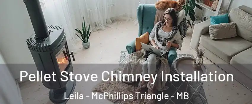  Pellet Stove Chimney Installation Leila - McPhillips Triangle - MB