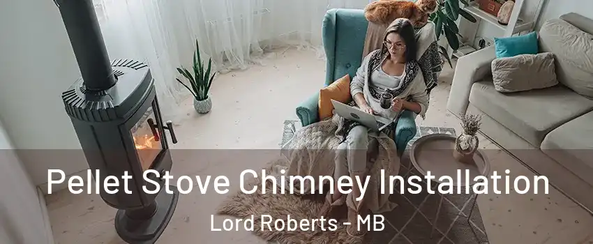  Pellet Stove Chimney Installation Lord Roberts - MB