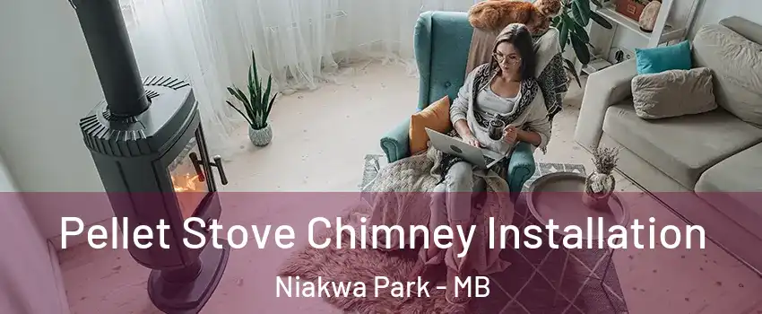  Pellet Stove Chimney Installation Niakwa Park - MB